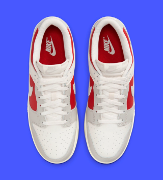Nike Dunk Low 